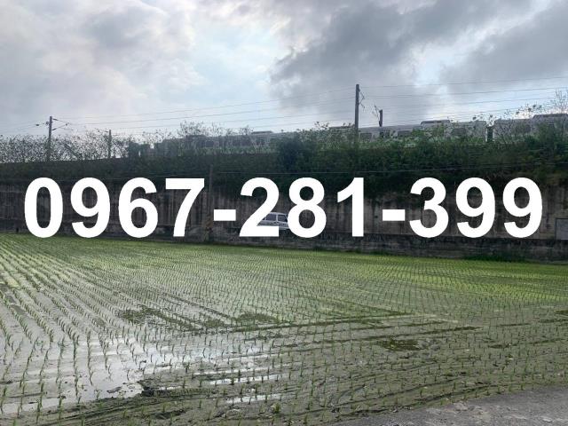 頭份農地-6