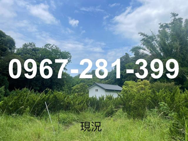 頭份農地-1