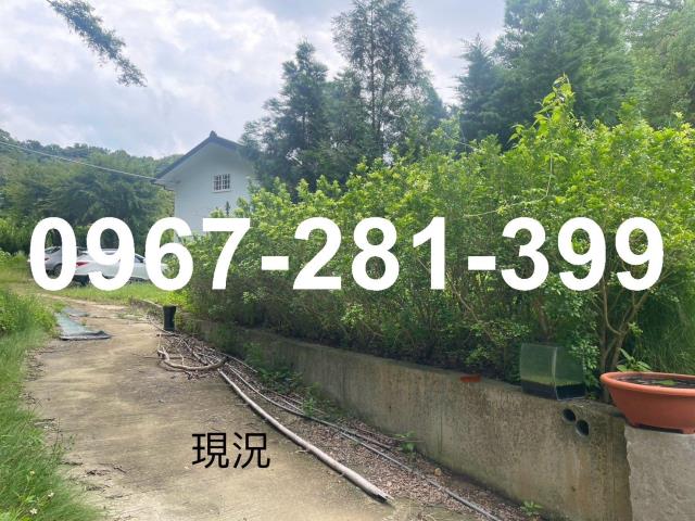 頭份農地-7