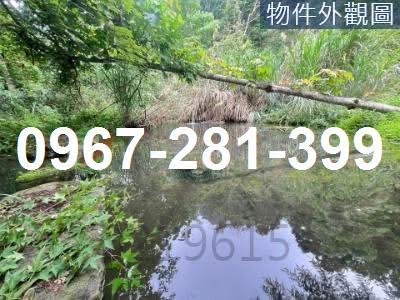 南庄農地-9