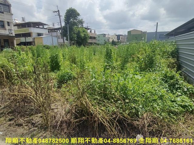 彰化埔心農地-3