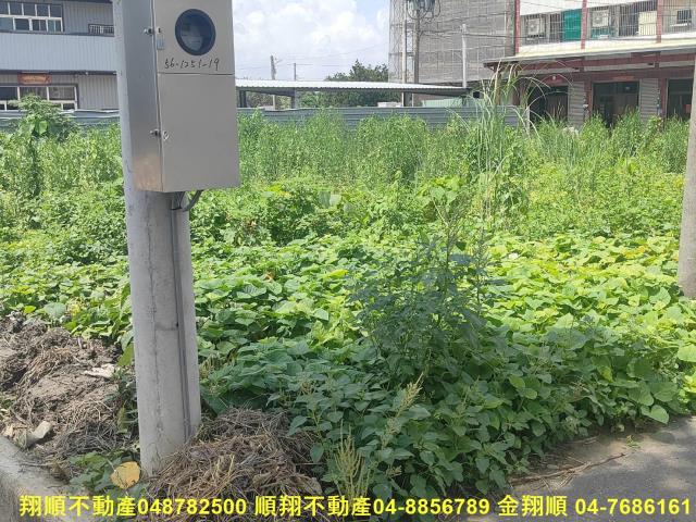 彰化埔心農地-7