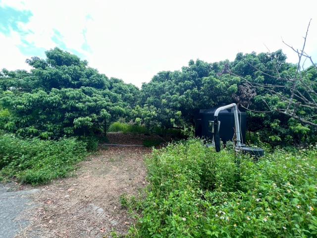 高雄內門農地-11