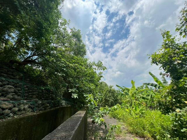 高雄內門農地-2
