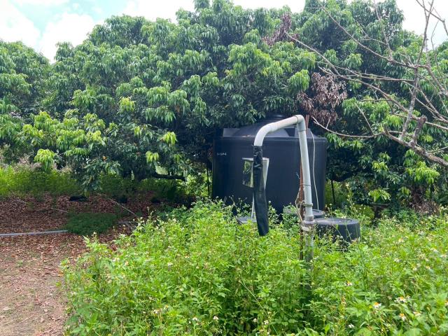 高雄內門農地-4