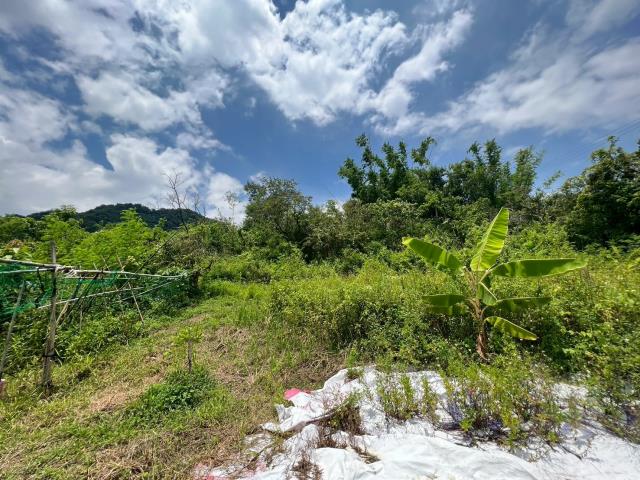 高雄內門農地-9
