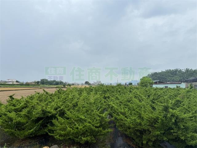 高雄美濃農地-6