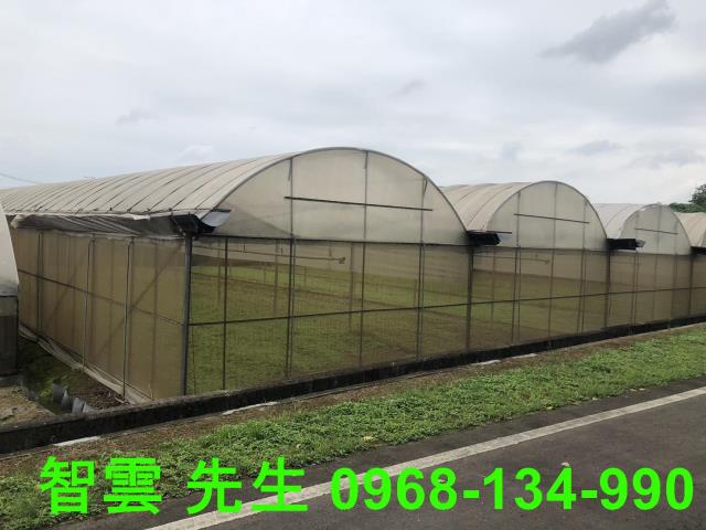 桃園區農地-2
