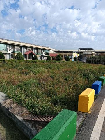 田中農地-3