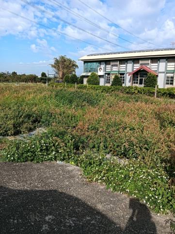 田中農地-4
