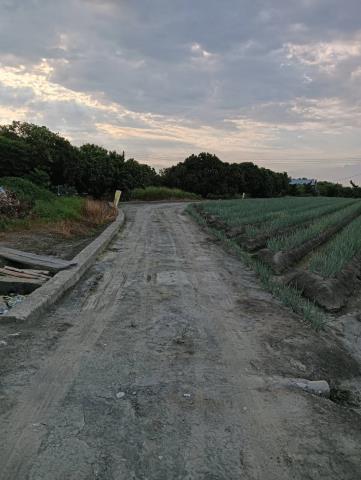 溪州農地-4