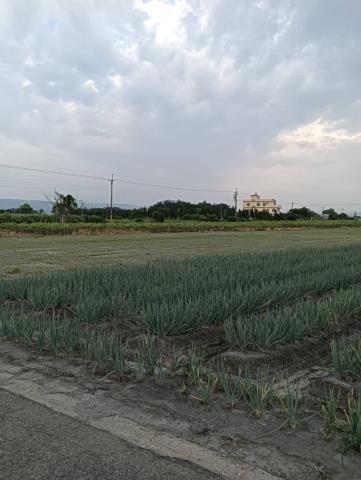 溪州農地-7