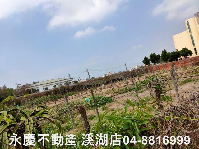 彰化農地-9