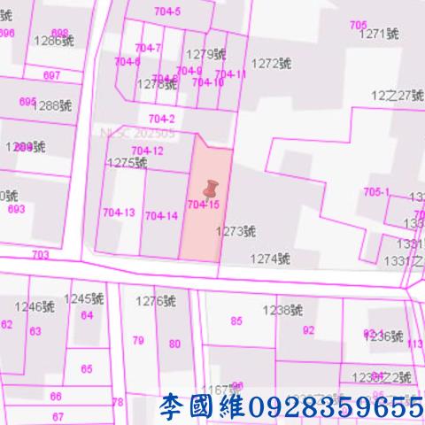 雲林建地法拍-3