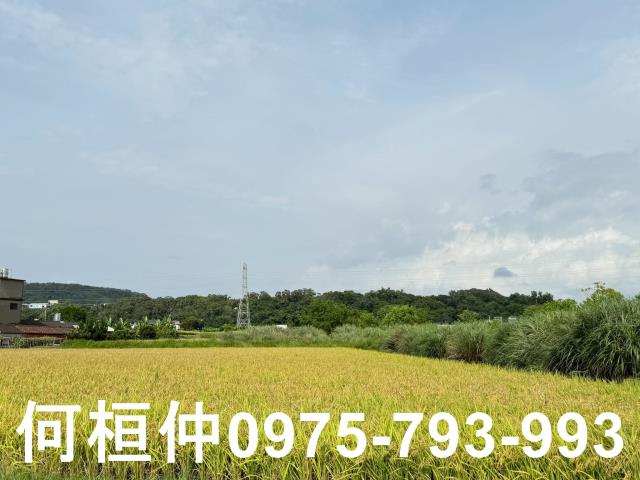 苗栗頭份農地-2