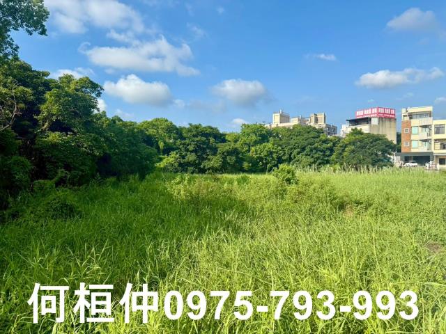 苗栗竹南農地-3