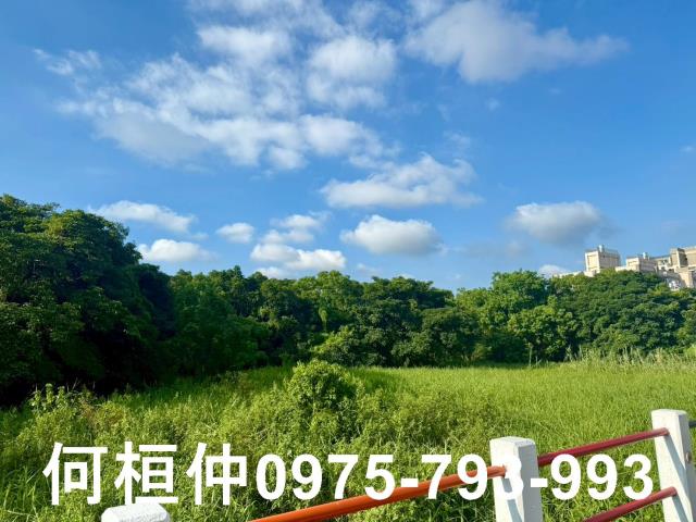 苗栗竹南農地-4
