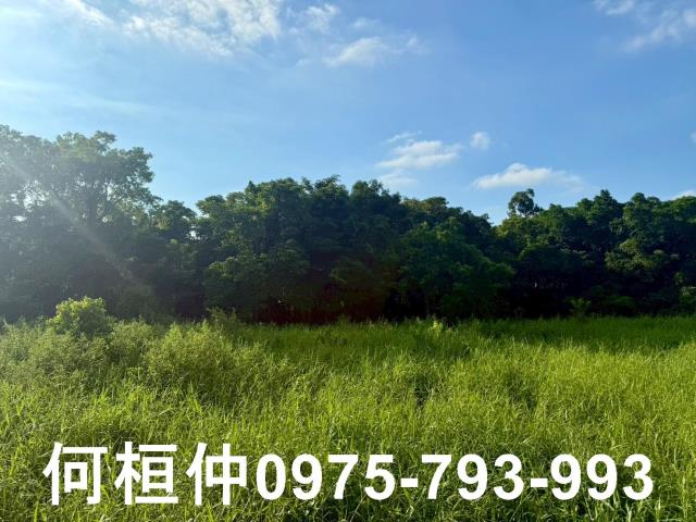 苗栗竹南農地-5