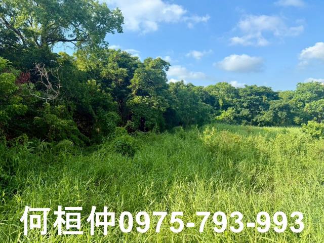 苗栗竹南農地-6