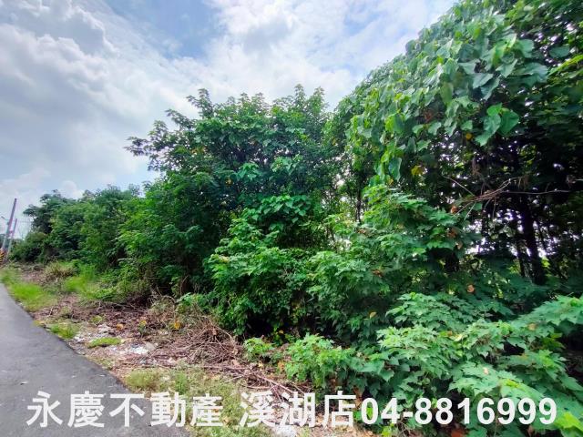 彰化二林農地-1