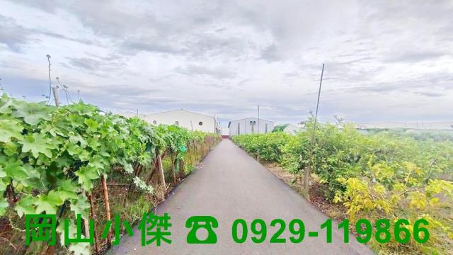 高雄燕巢農地-1