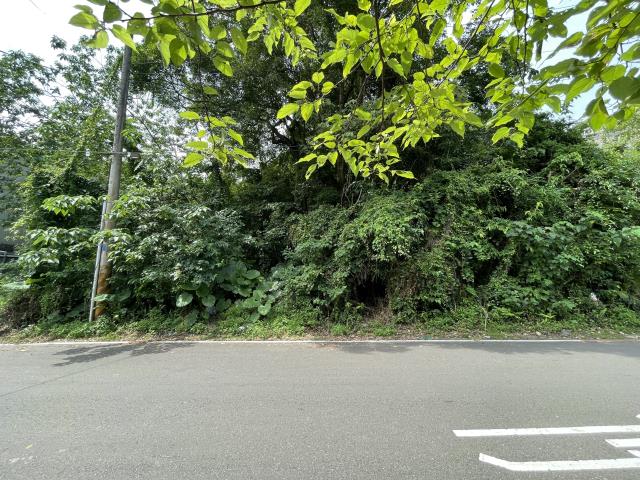 桃園龍潭建地-1