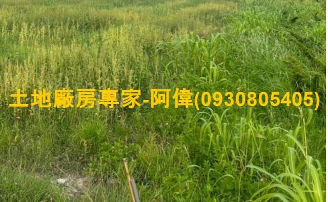 大寮農地-1
