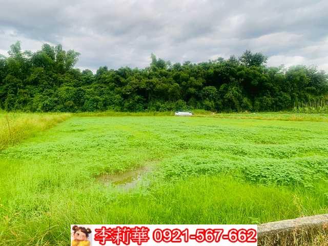 杉林農地-5