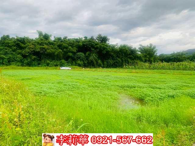 杉林農地-6