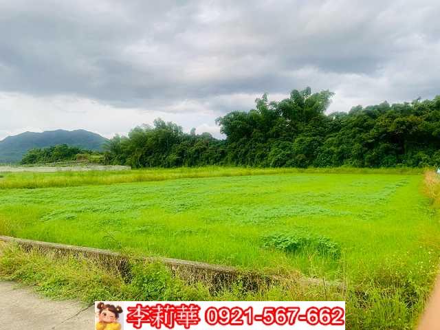 杉林農地-7