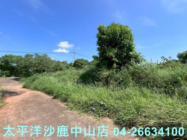台中保護地-2