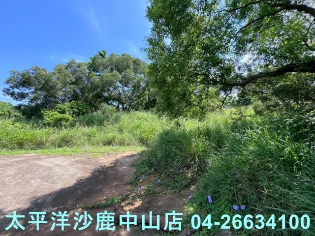 台中保護地-3