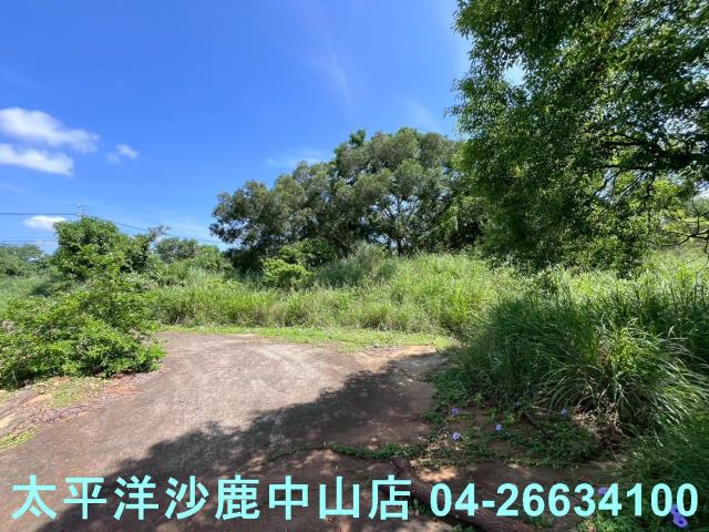 台中保護地-4