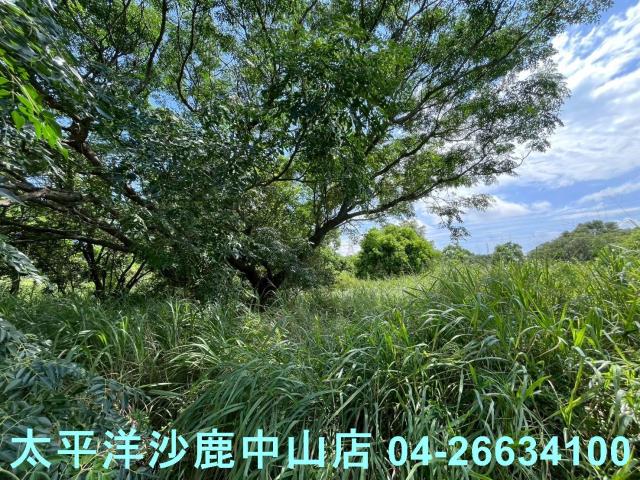 台中保護地-5
