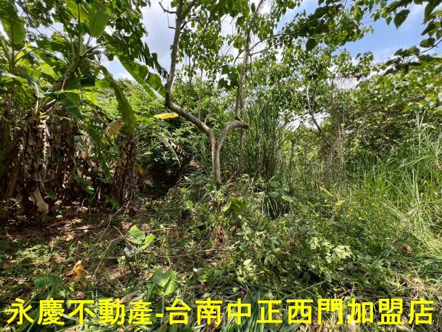 台南東山農地-13