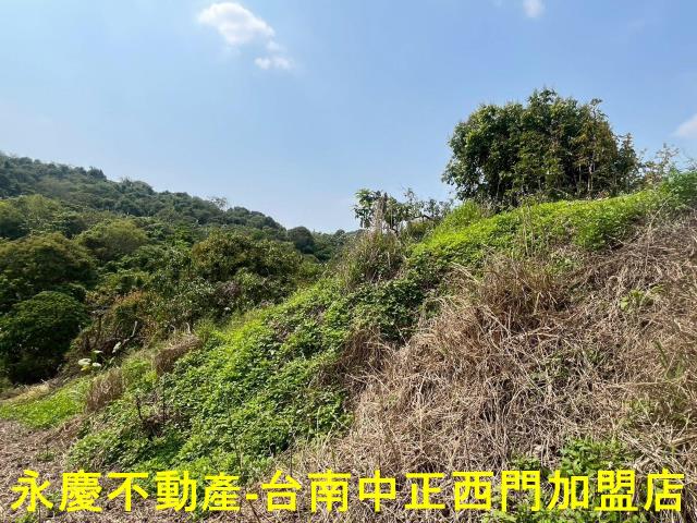 台南東山農地-5