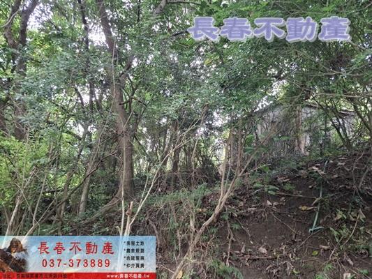 苗栗頭屋農地-2