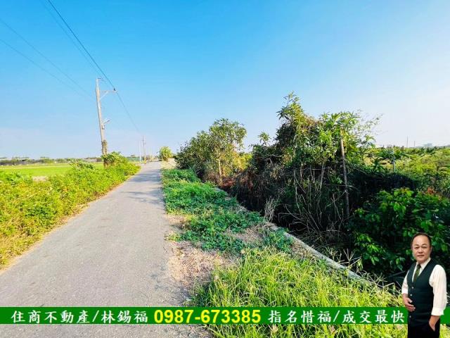 台南佳里農地-1