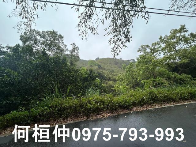 苗栗銅鑼休閒地-2