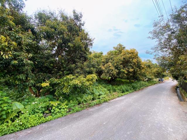 南投市農地-2