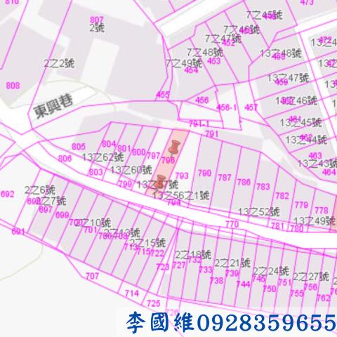 竹山法拍建地-3