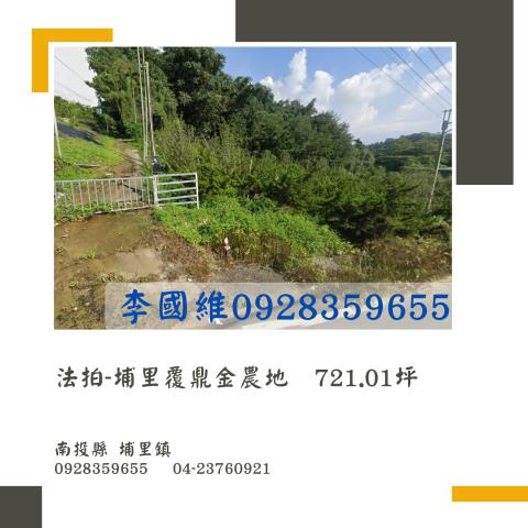埔里拍賣農地-1