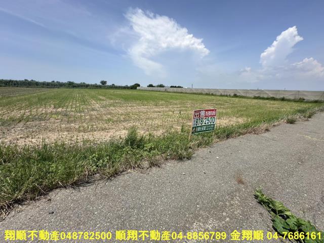 大城農地-3