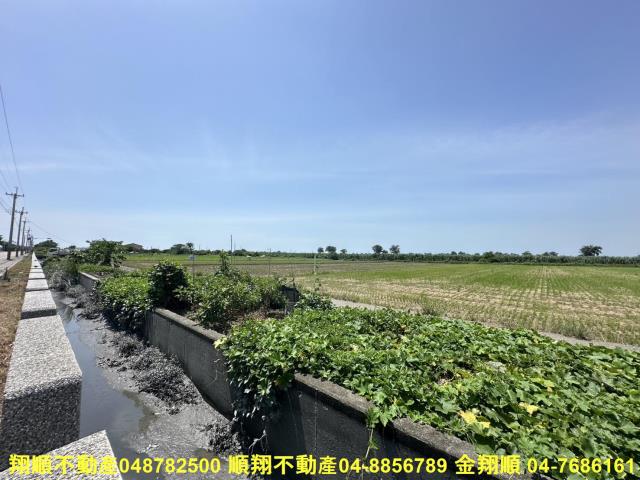 大城農地-5