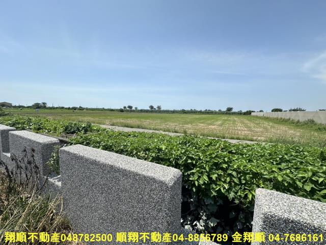 大城農地-8
