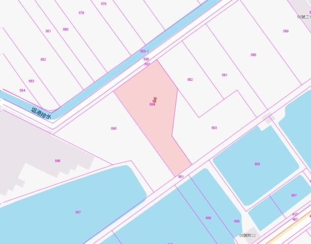 東石農地法拍-3