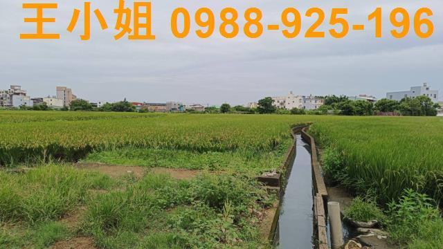桃園農地-10