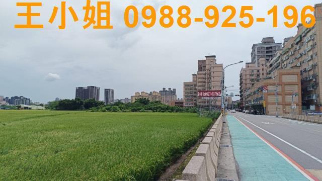 桃園農地-3