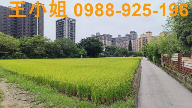 桃園農地-4