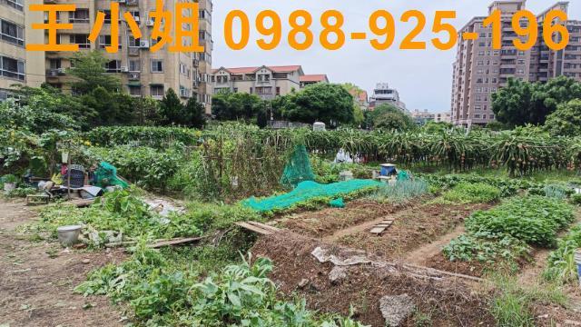 桃園農地-6